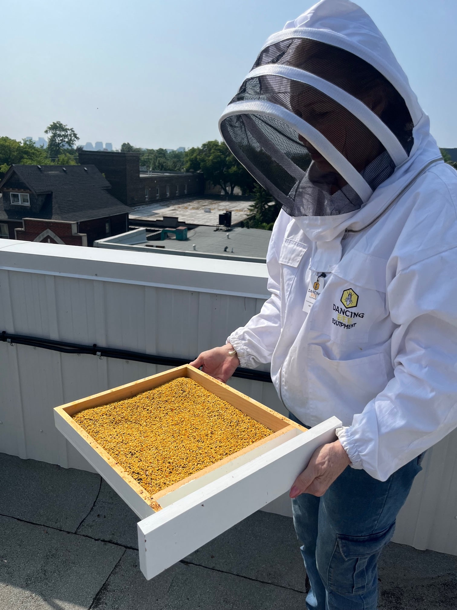 INTRODUCTORY ADULT BEEKEEPING CLASS 2024 OPEN FOR SIGN UP
