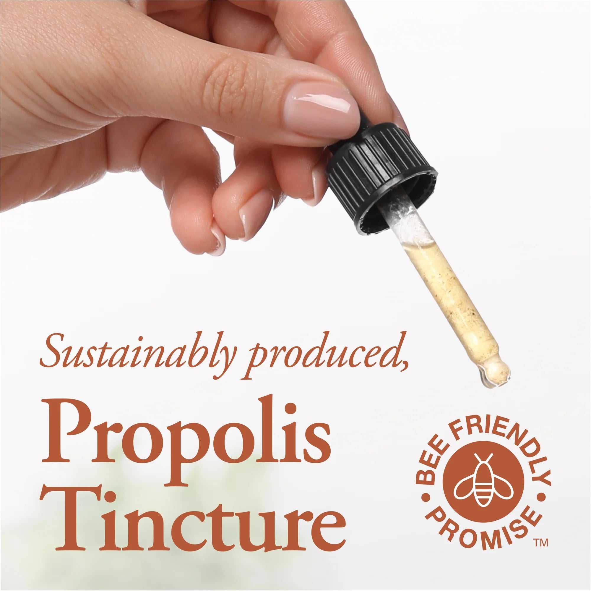 Propolis Extract 20% Water Soluble 50ml by Dutchman&