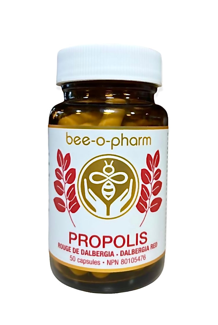 Red Dalbergia Propolis Capsules 50 Count