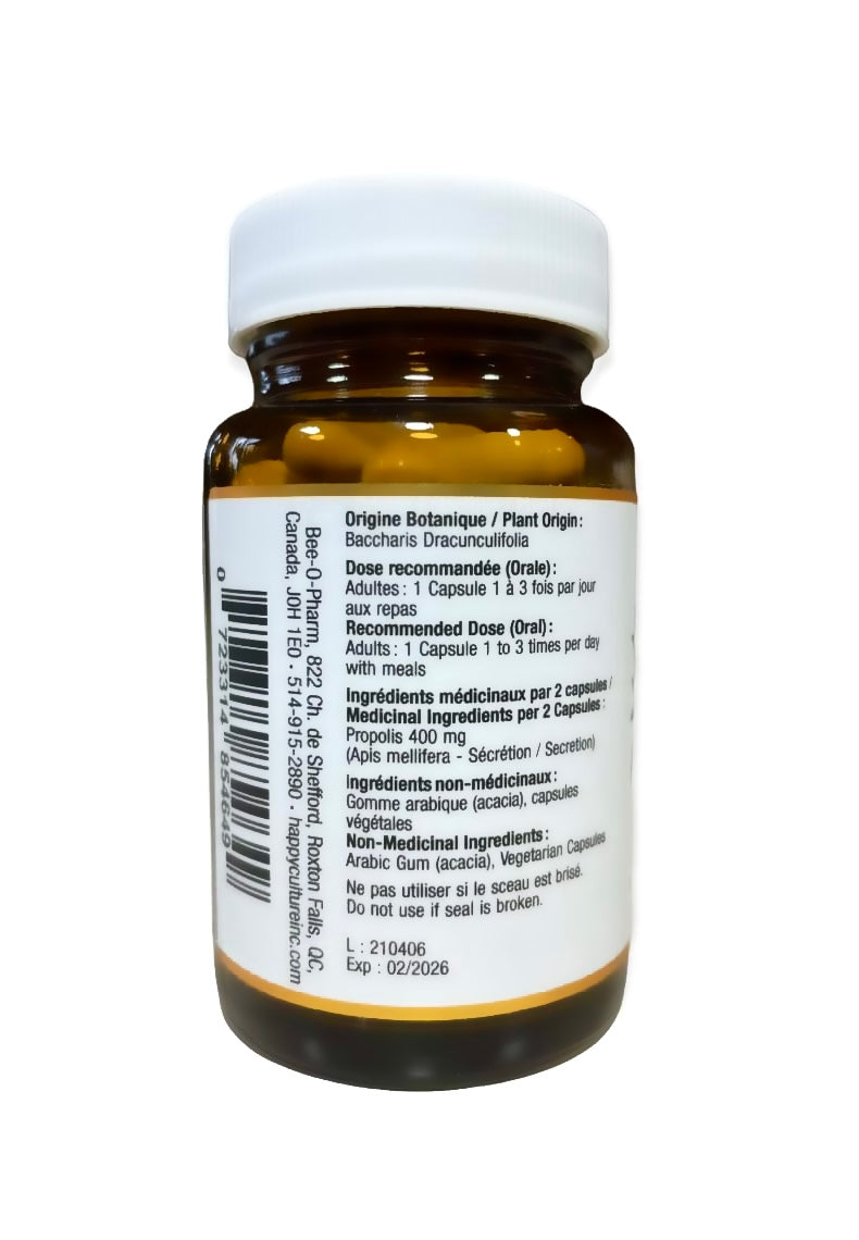 Green Baccharis Propolis Capsules 50 count by Happy Culture Bee O Pharm rear view showing ingredients and dosage recommendations