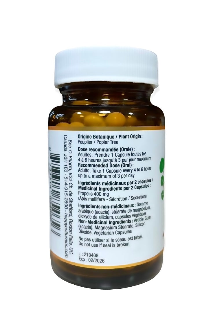 Brown poplar propolis capsules 50 count  by happy culture bee o pharm rear view with dosage and ingredients visible