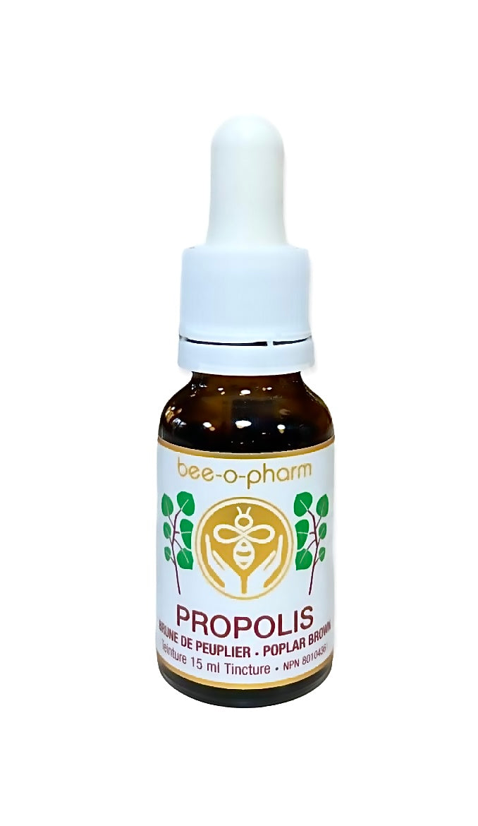 Brown poplar propolis tincture 15 ml dropper by Happy Culture Bee O Pharm front view