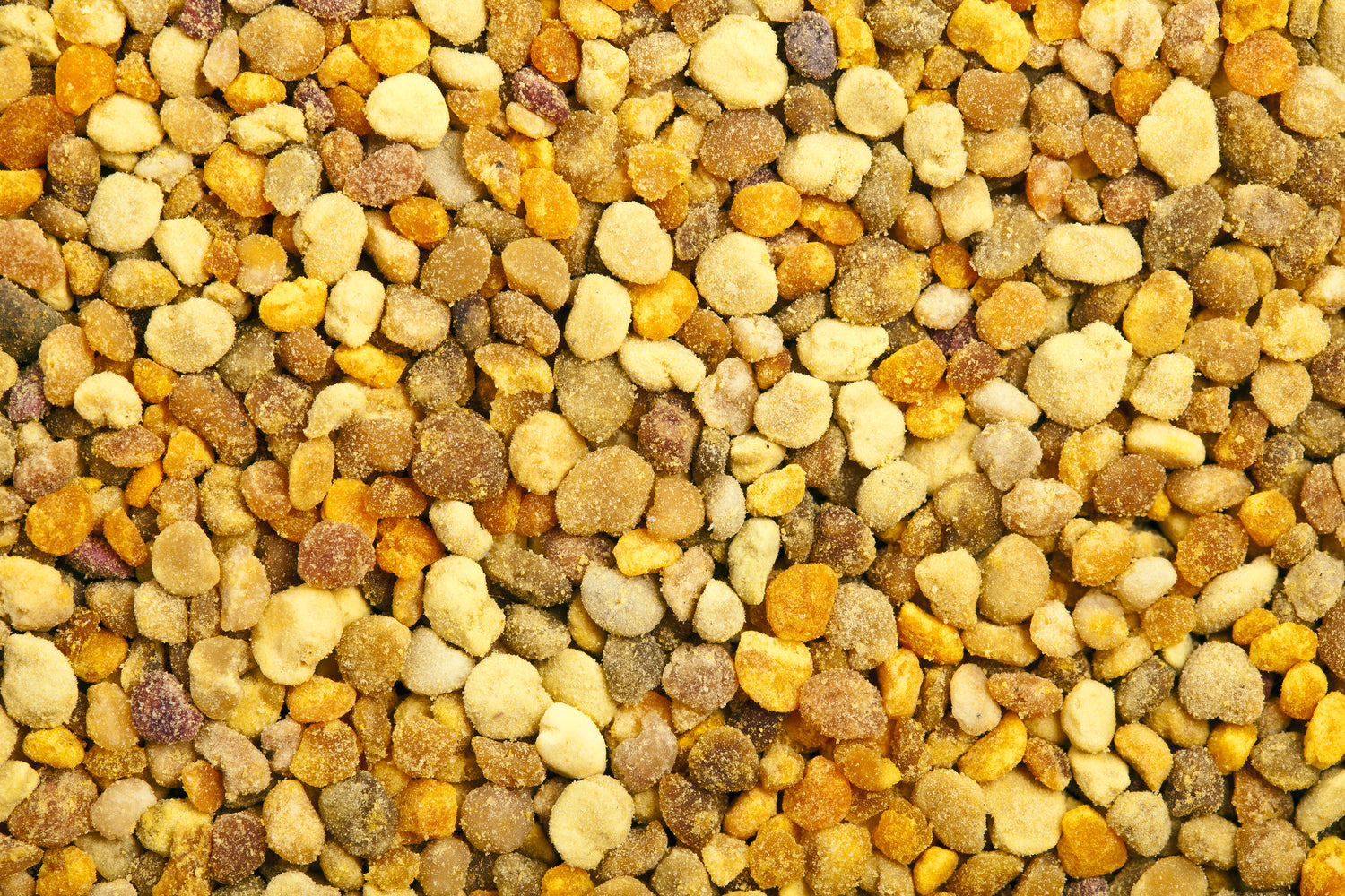HONEYBEES AND GOLD EVENT