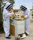 Young Beekeepers Club photo front view of children checking a beehive
